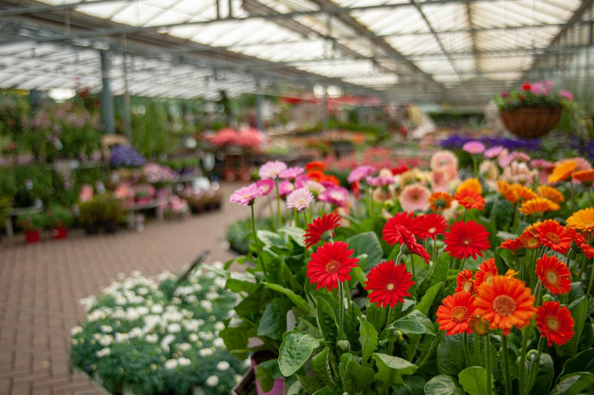 Walkers Nurseries